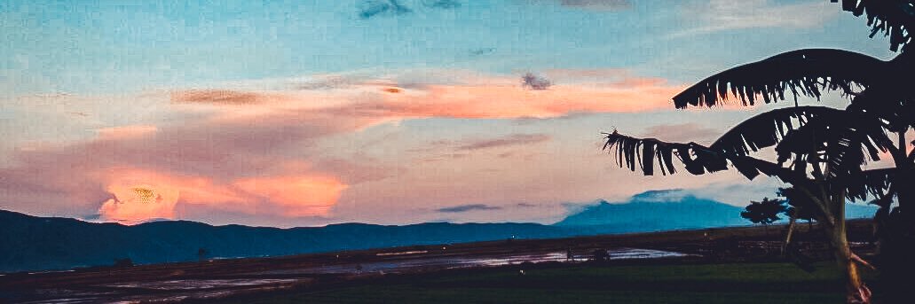 macer331's profile banner image