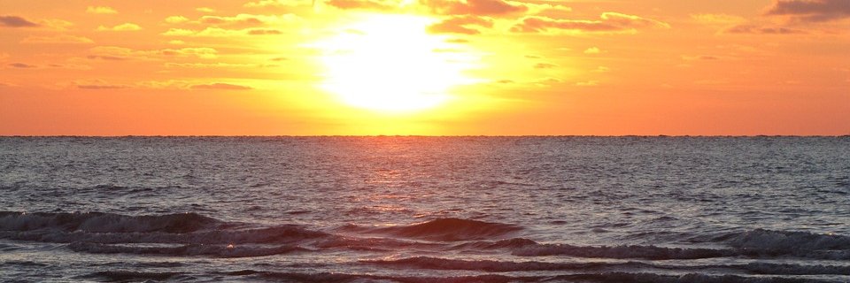 Tinamflowers's profile banner image