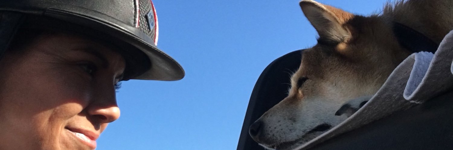 LilVixn's profile banner image