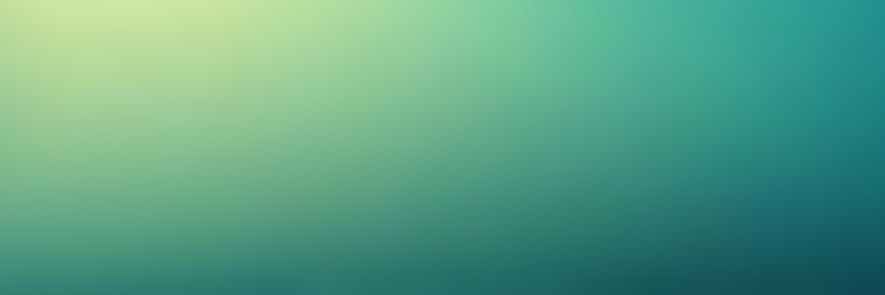 brant41's profile banner image