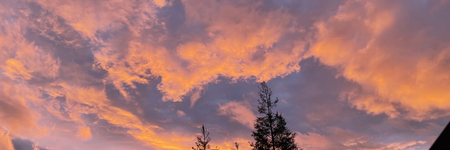 ʝųʂɬƈąƖƖɱɛɱɛɛʂɧ🇺🇦☮️😷💙🏳️‍🌈 banner