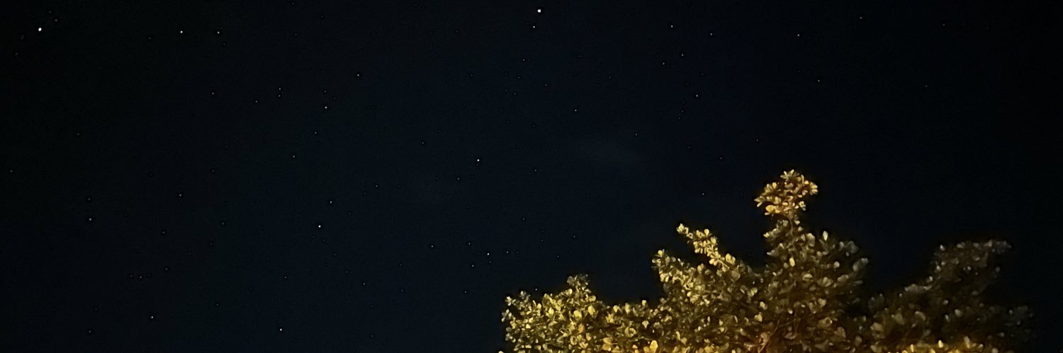 sofffffffd's profile banner image