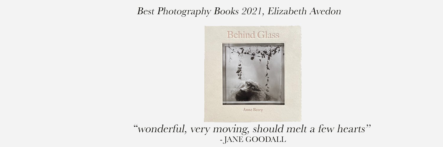 anneberrystudio's profile banner image