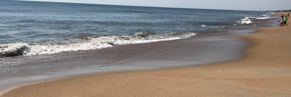gailsnail_'s profile banner image