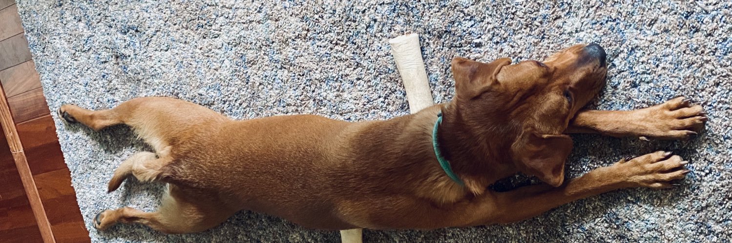 not your lawyer banner