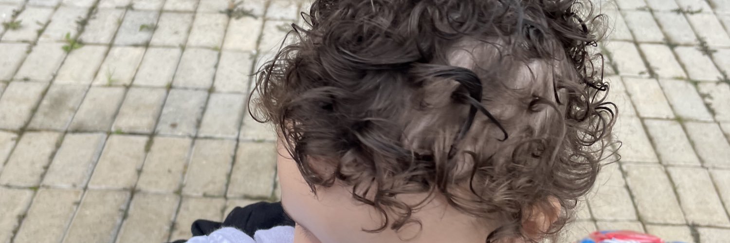 samaralemosml's profile banner image