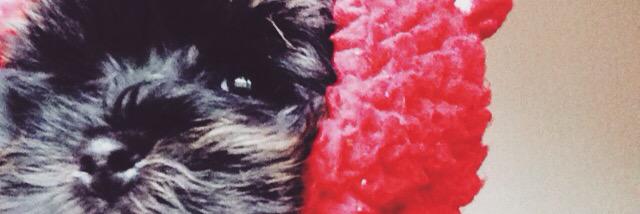 ellen_aitken's profile banner image