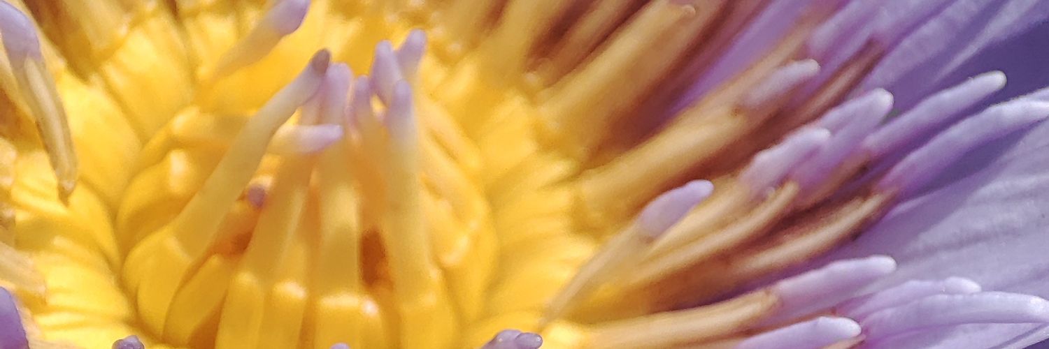 Lionking032's profile banner image