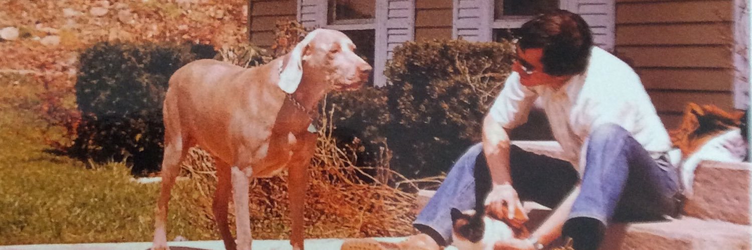 Mr. Ed banner