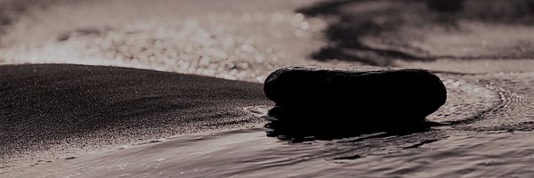 RegalPepper Profile Banner