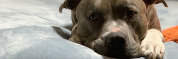 TroyHill96 Profile Banner