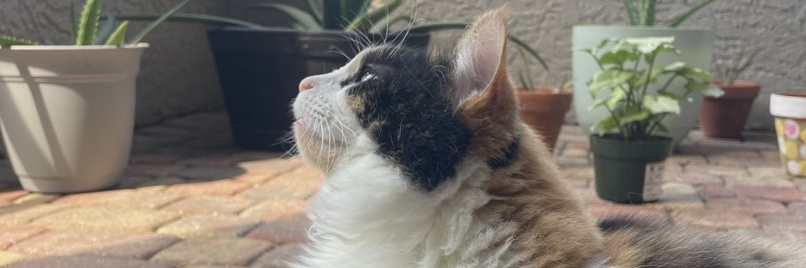 PutmeinthegrASS's profile banner image
