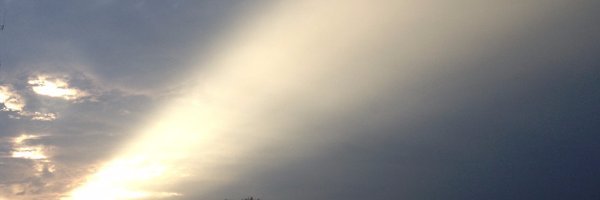 DMBW Profile Banner