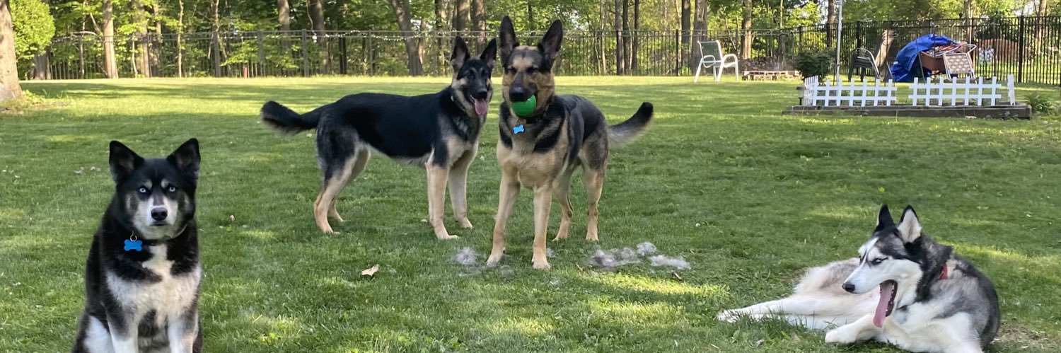 kate_wolfe's profile banner image