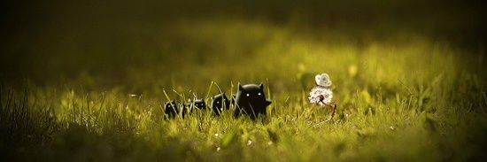 kalos_mx's profile banner image