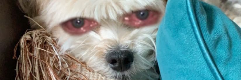 _succc's profile banner image