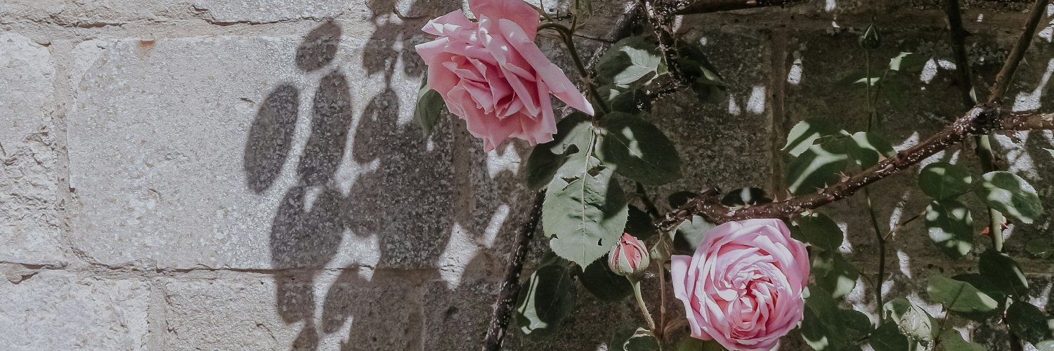 opalitemuse's profile banner image