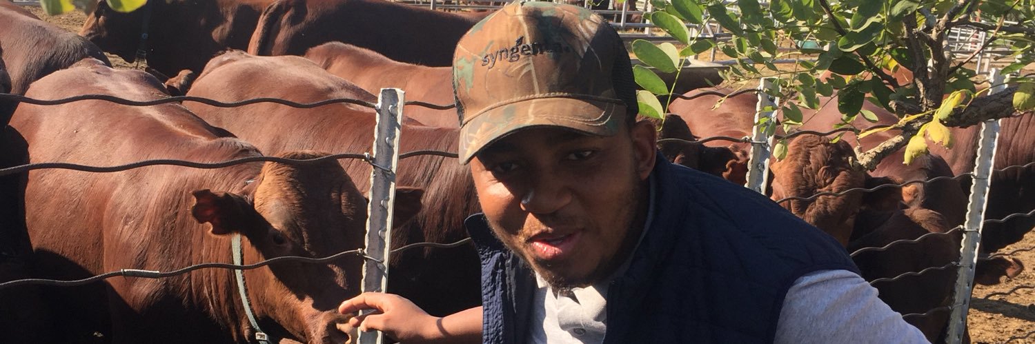 Thee_Mangy's profile banner image