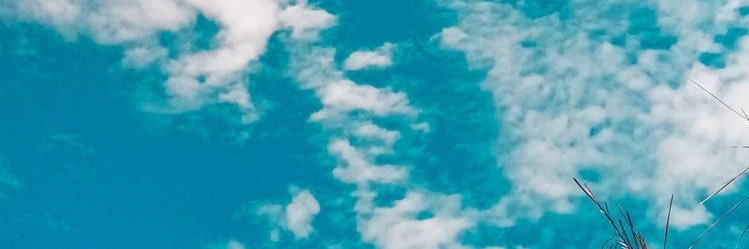 jennigarnier's profile banner image