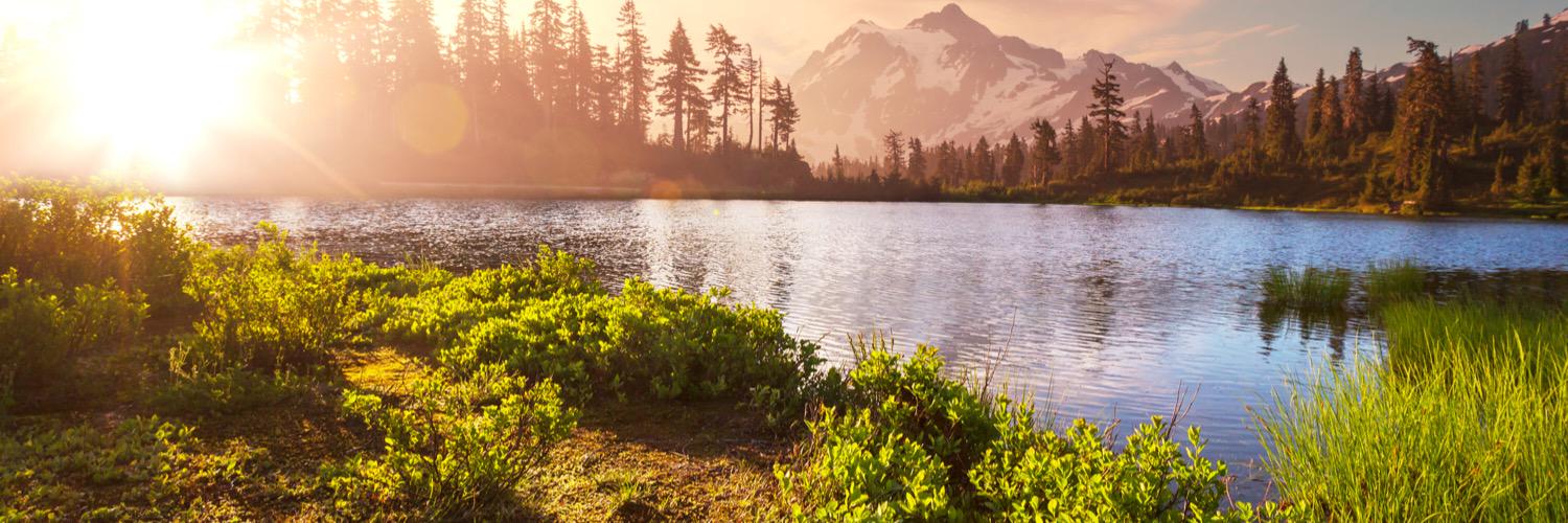 Seattle Sports banner