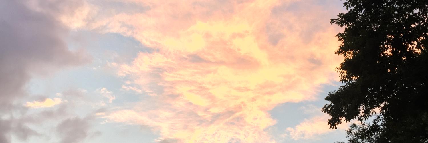 asiannite's profile banner image