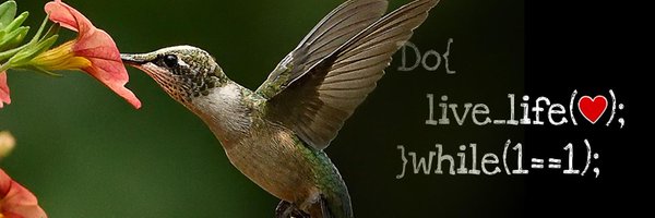 rctorr Profile Banner