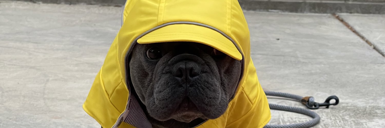 GaryDGAF's profile banner image