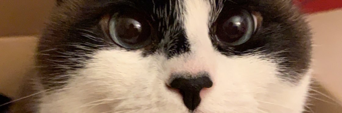 Thurmy13's profile banner image