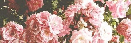 TPott_'s profile banner image