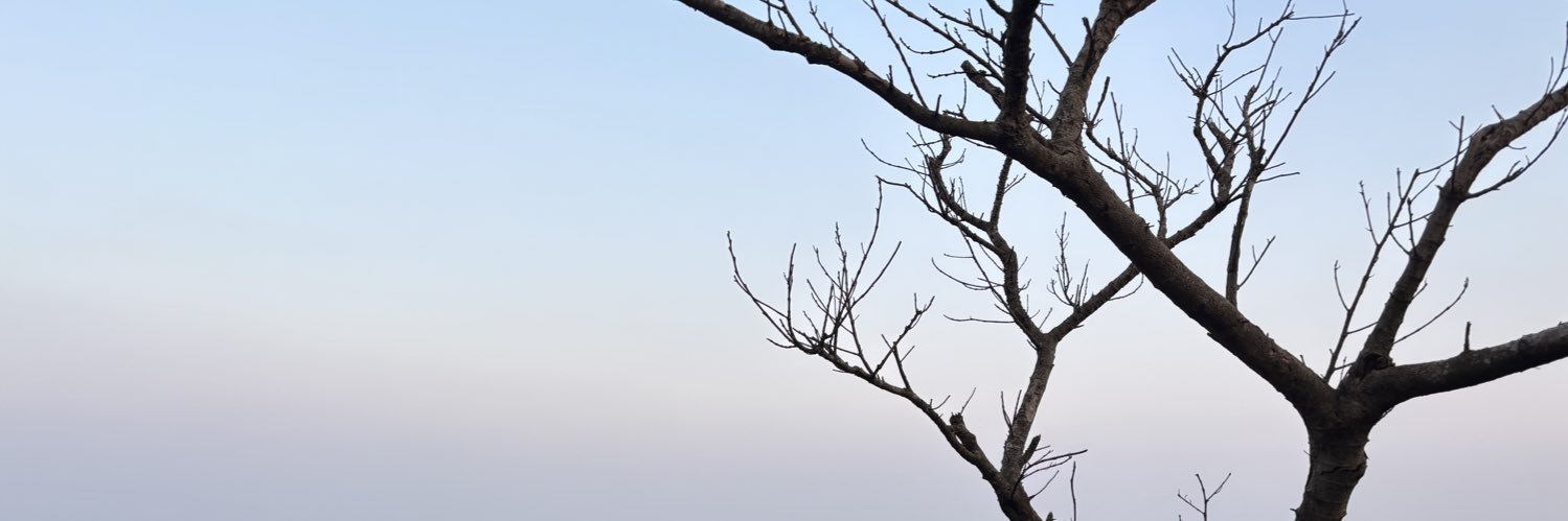 jjayr's profile banner image