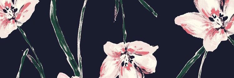 AlexaBilek's profile banner image