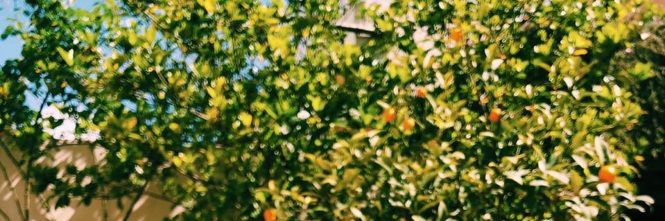 SofaMarina's profile banner image