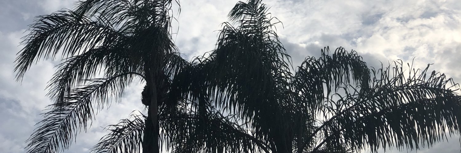 Mwheeler08's profile banner image