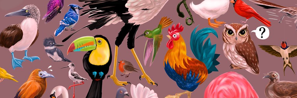 NDeStefano's profile banner image