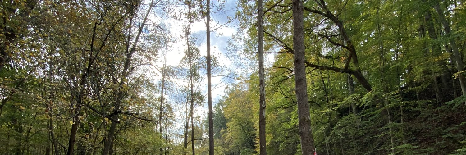 J_ForReal's profile banner image