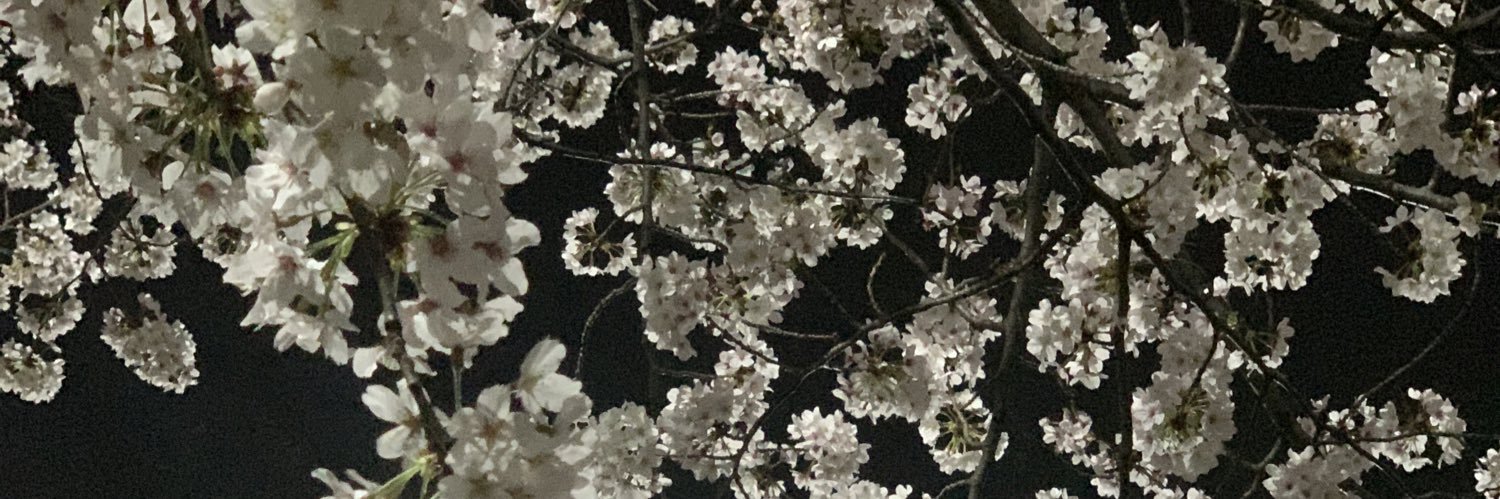 stySty88's profile banner image