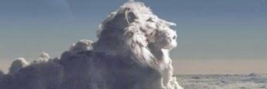 Msbklyn731's profile banner image