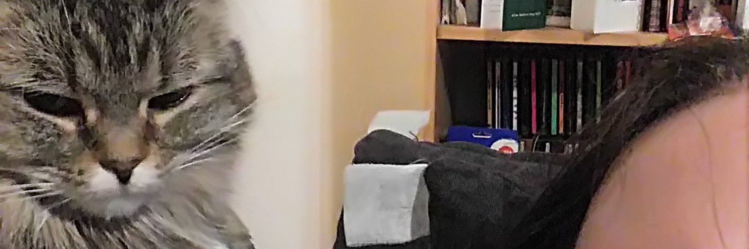 Quietmarc's profile banner image