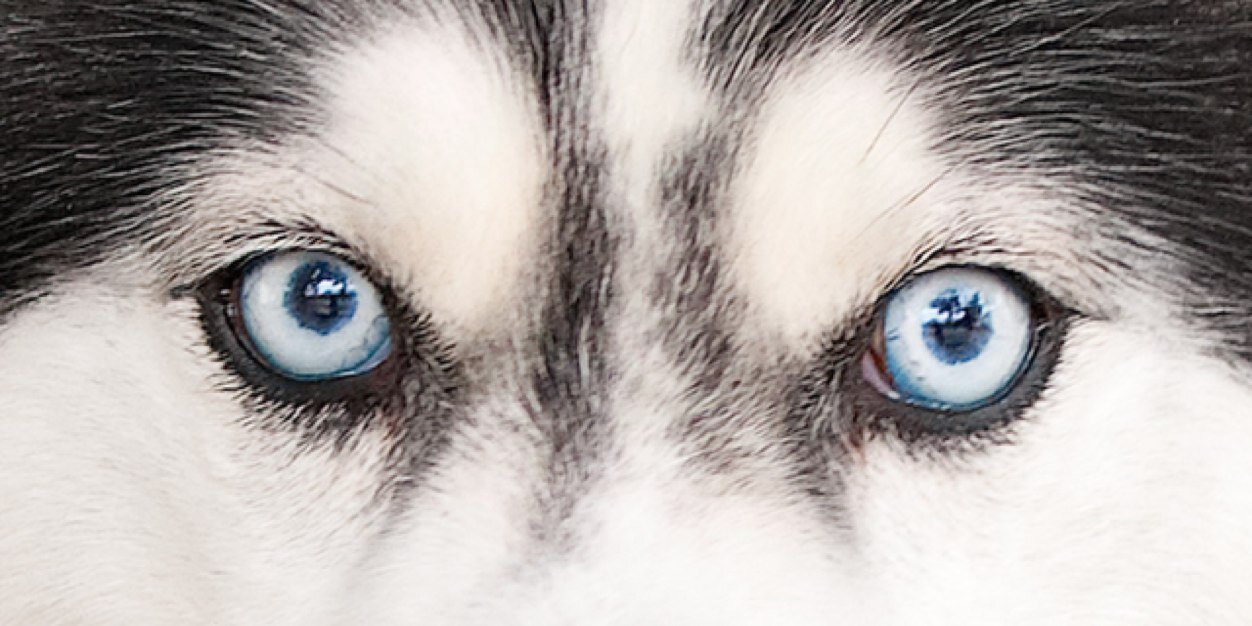 jaclynsoftli10's profile banner image