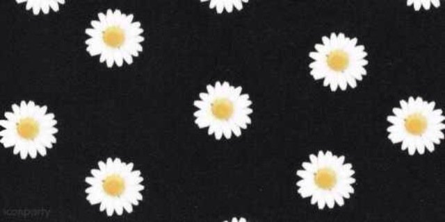 Kay_Givens09's profile banner image