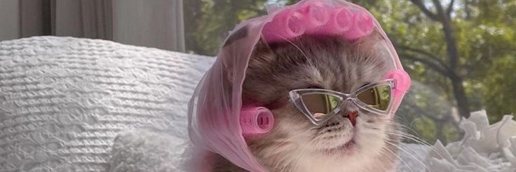 Solecito☀️ banner