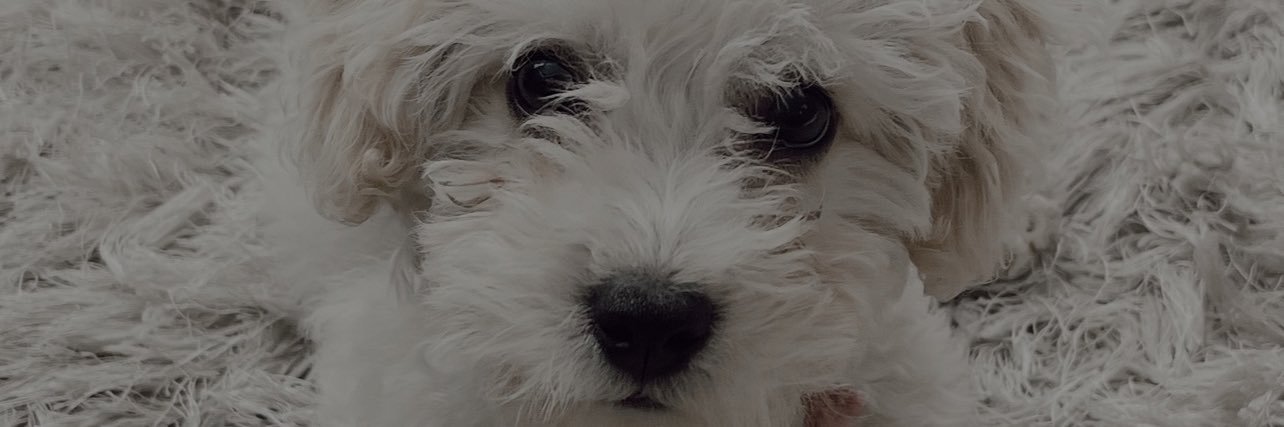 franchescaav_'s profile banner image