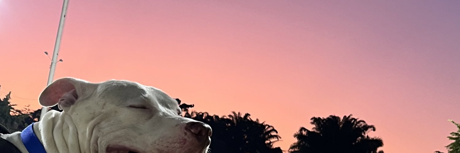 Jeanco11_'s profile banner image