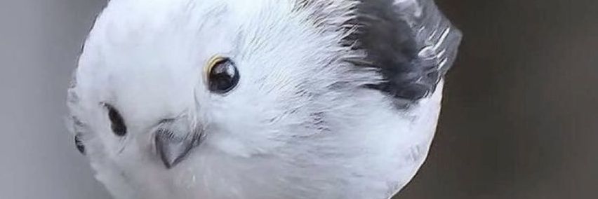 raitoto112's profile banner image