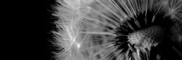 Bnourished Profile Banner