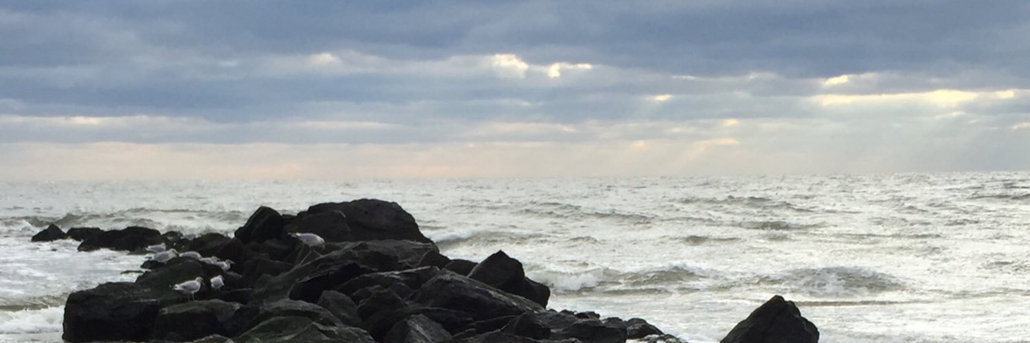 Andrew G. D'Angelo banner