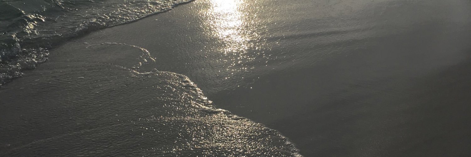 SydneyTolander's profile banner image