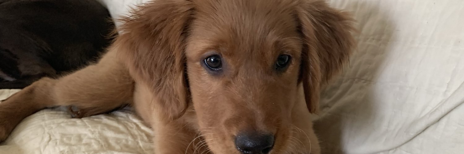 BrianFeller1's profile banner image