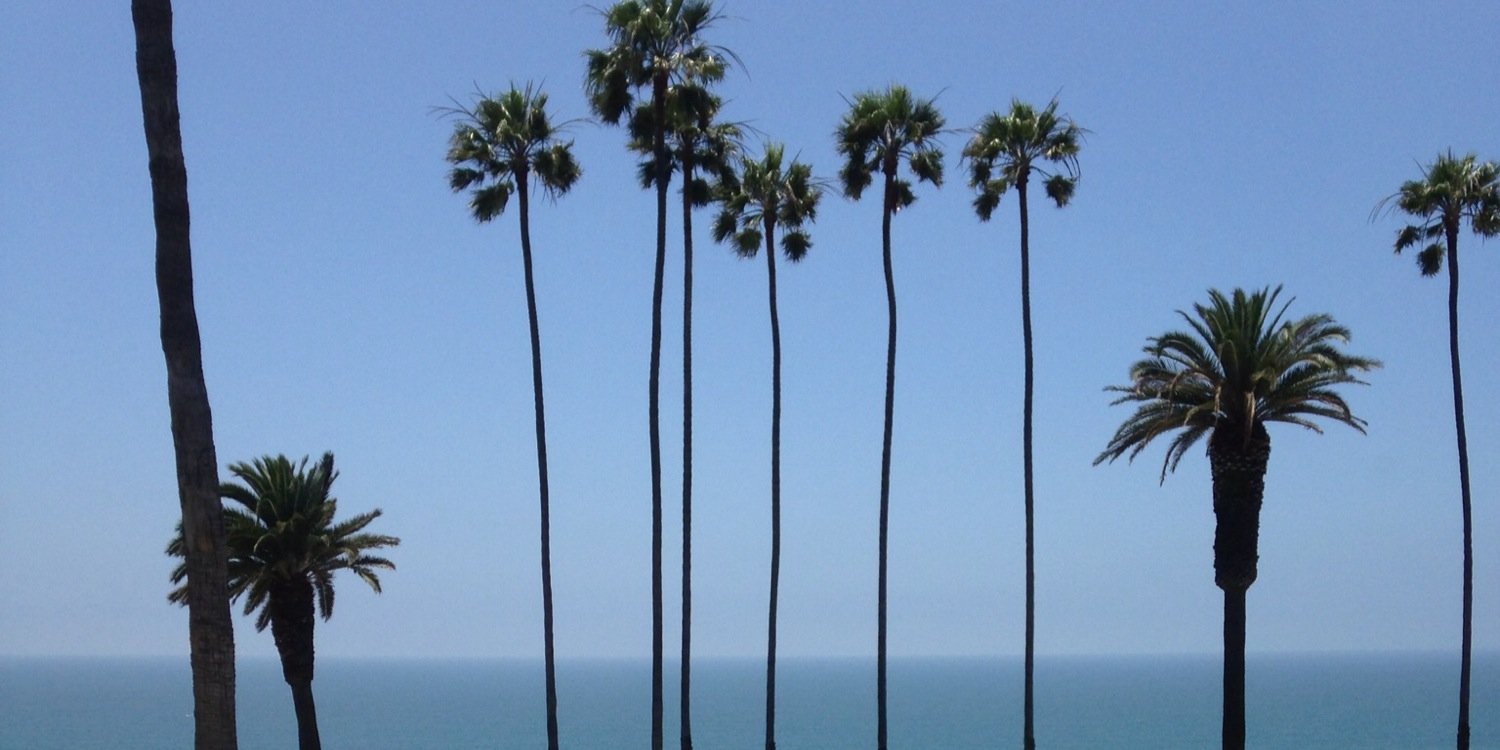 James Carlton banner