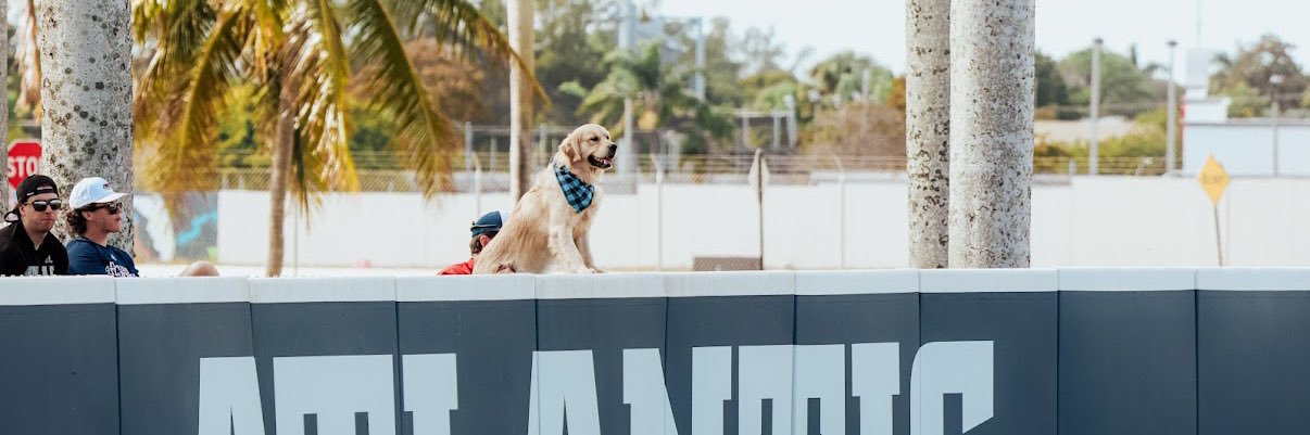 Max Wadsworth banner